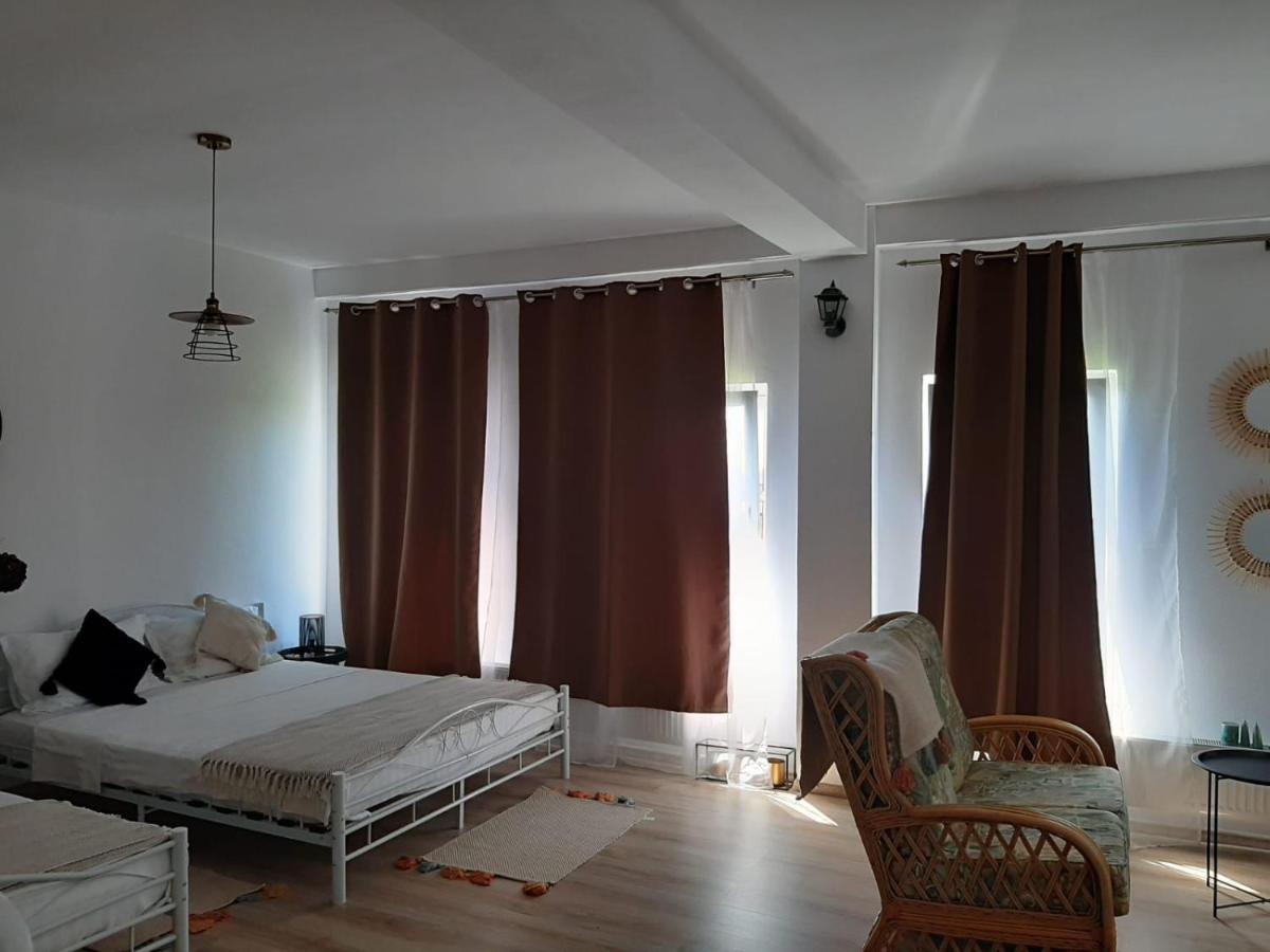 Tina Guest House Basarabi Exterior photo